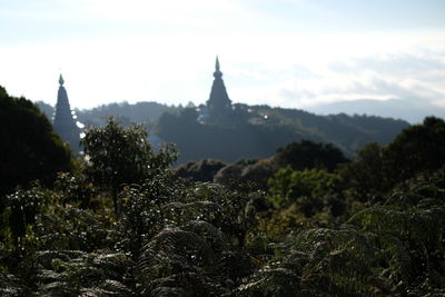 Panoramic view of trees and buildings against sky