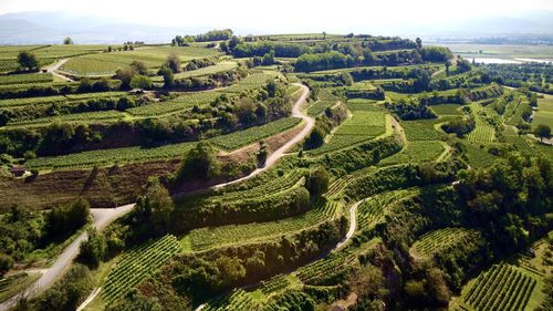 High angle view of agricultural field against sky