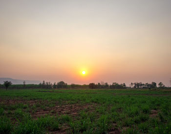 Scenic view of field against sky during sunset