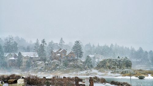 Scenic view of landscape during foggy weather