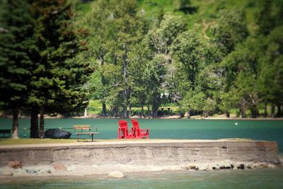 Scenic view of trees
