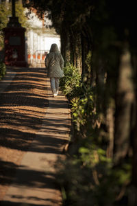 Rear view of woman walking on footpath