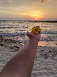 Close-up of hand on beach against sky during sunset