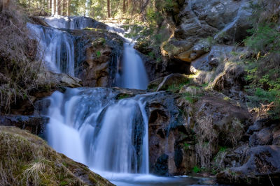 Low angle view of waterfall in forest