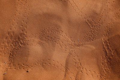 Close-up of abstract pattern