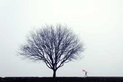 Bare tree on field against clear sky