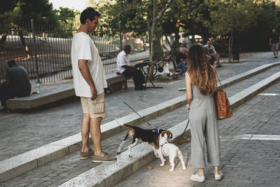 Rear view of people with dog walking on zebra crossing