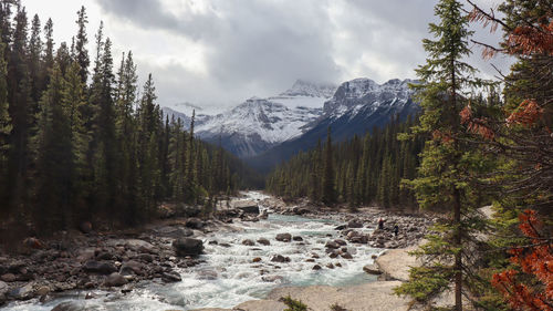 Scenic view of river amidst trees against sky and snow-covered mountain 