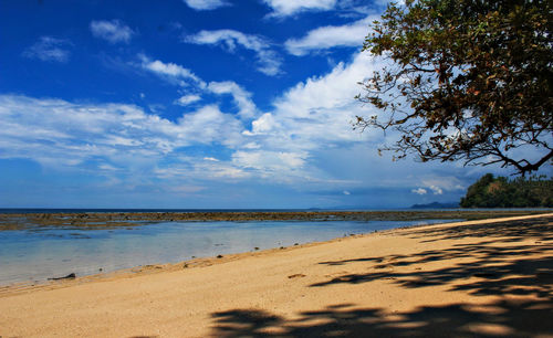 Scenic view of beach against sky
