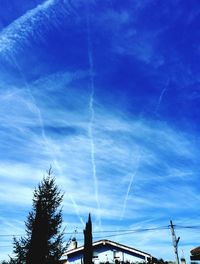 Low angle view of trees against blue sky