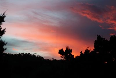 High section of silhouette trees against dramatic sky