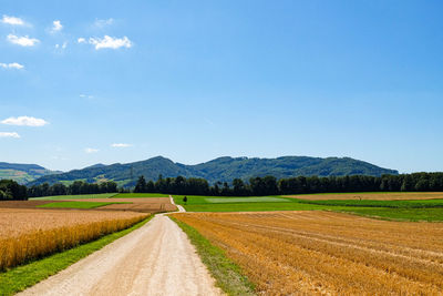 Empty road amidst agricultural field against sky