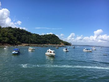 Boats moored in sea against blue sky