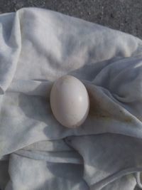 High angle view of eggs in container