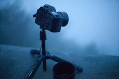 Close-up of tree against blue sky