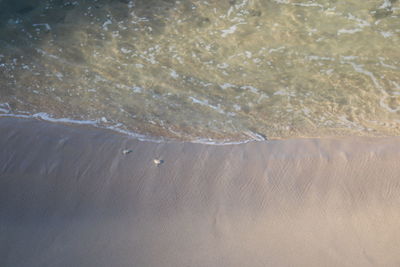 High angle view of beach