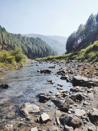 Scenic view of river against sky