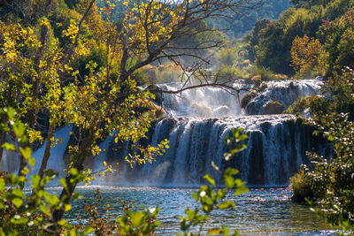 Scenic view of waterfall in forest