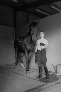 Horse standing in stable