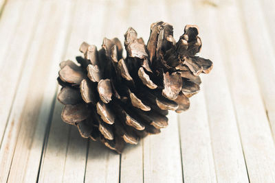 High angle view of pine cone on table