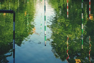 High angle view of reflection of plants in lake