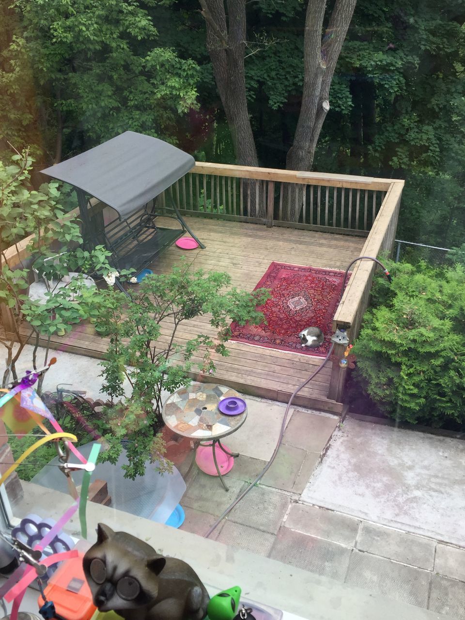 HIGH ANGLE VIEW OF POTTED PLANTS IN YARD