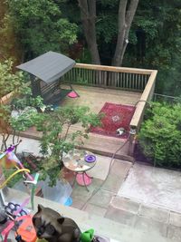 High angle view of potted plants on table in yard