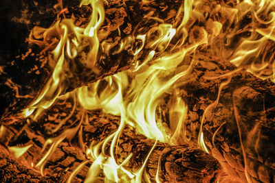 Close-up of bonfire