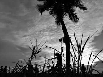 Low angle view of silhouette palm trees against sky