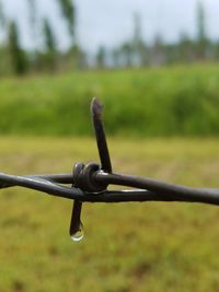 Close-up of wet barbed wire fence over field