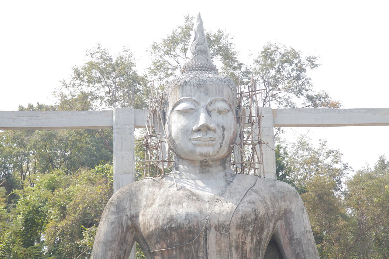 STATUE AGAINST TREE