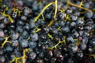 Full frame shot of grapes for sale at market