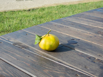 Mandarin fruit on a bench against a green grass background