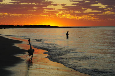 Silhouette man on beach against sky during sunset