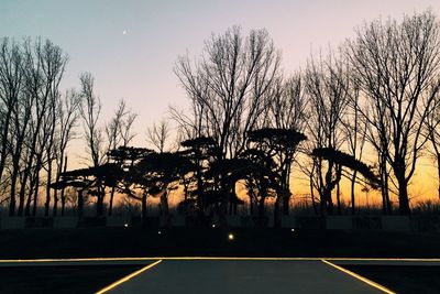 Silhouette of bare trees on road at sunset