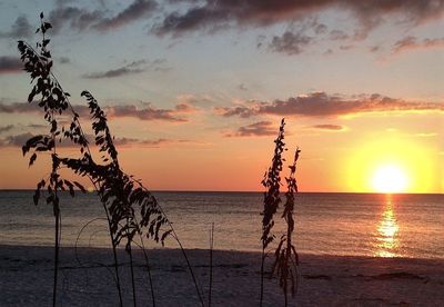 Scenic view of sea at sunset