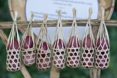 Close-up of eggs hanging