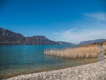 Scenic view of lake against blue sky