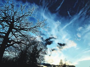 Low angle view of bare trees against blue sky