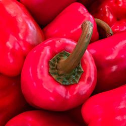 Close-up of red tomatoes