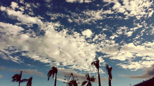 Low angle view of trees against sky