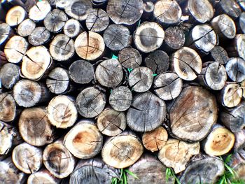 Full frame shot of logs