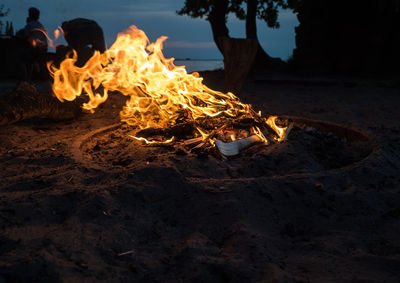 Close-up of bonfire on beach at night