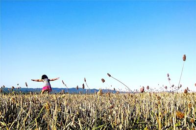 Scenic view of field against clear blue sky