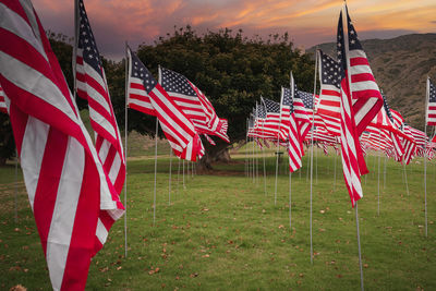 Low angle view of american flags