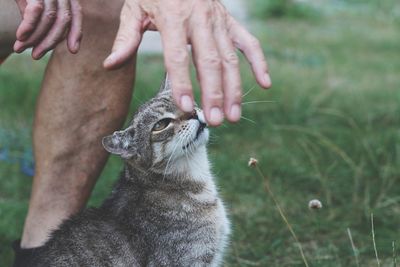 Close-up of hand holding hands on field