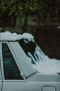 winter