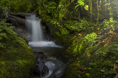 Scenic view of waterfall 