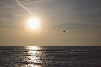 Silhouette bird flying over sea against sky during sunset