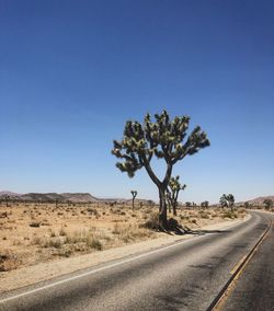 Tree by road against clear blue sky